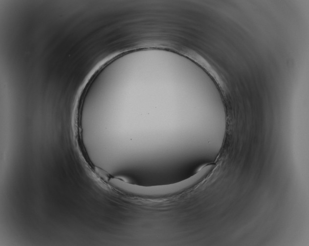 X0000086781140200705111750