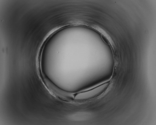 X0000086781141200705111750