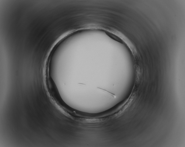 X0000086781142200705111750