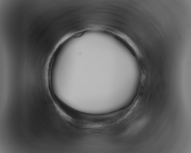 X0000086781143200705111750