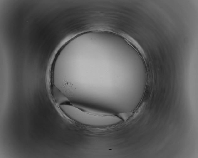 X0000086781144200705111750