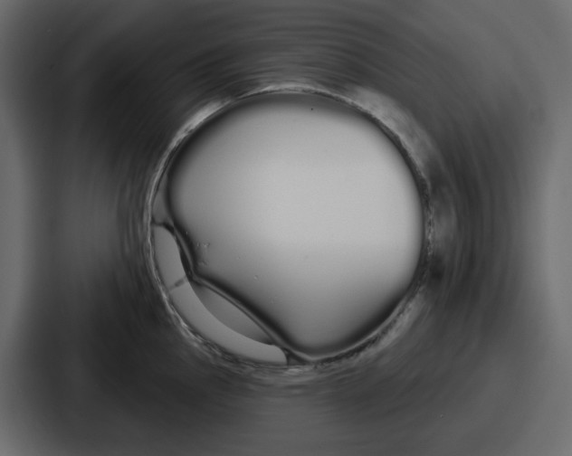 X0000086781145200705111750