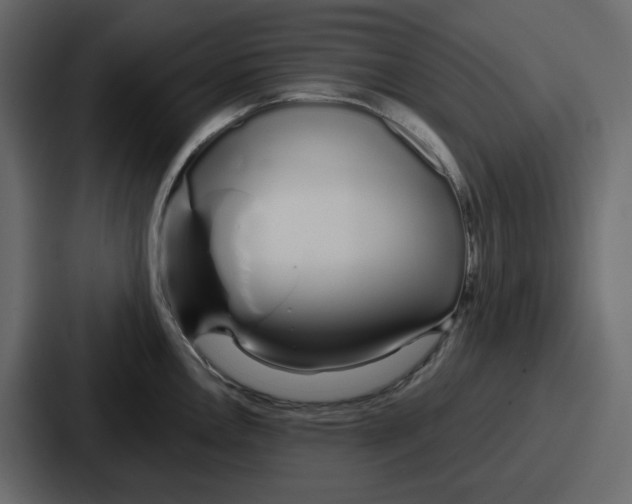 X0000086781146200705111750