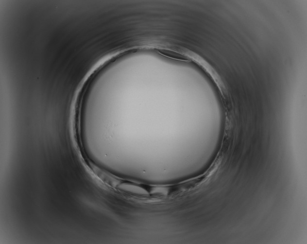 X0000086781147200705111750