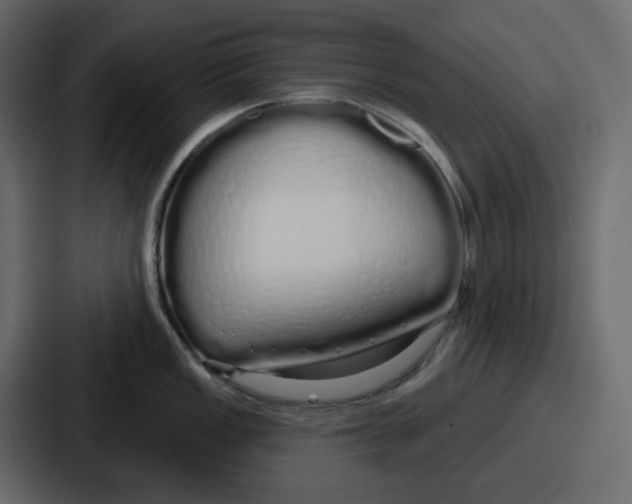 X0000086781149200705111750