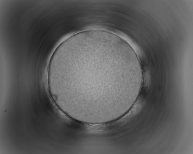 X0000086781150200705111750