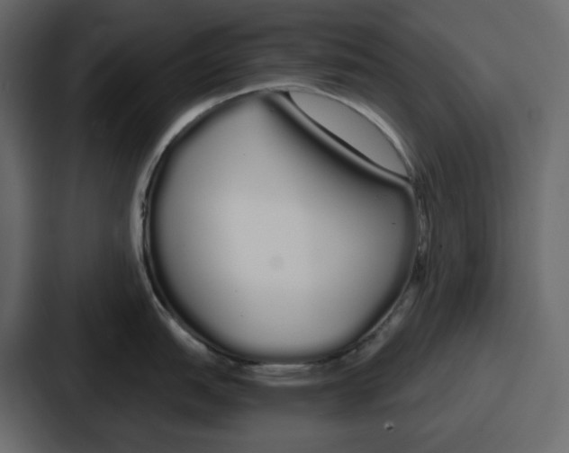 X0000086781151200705111750