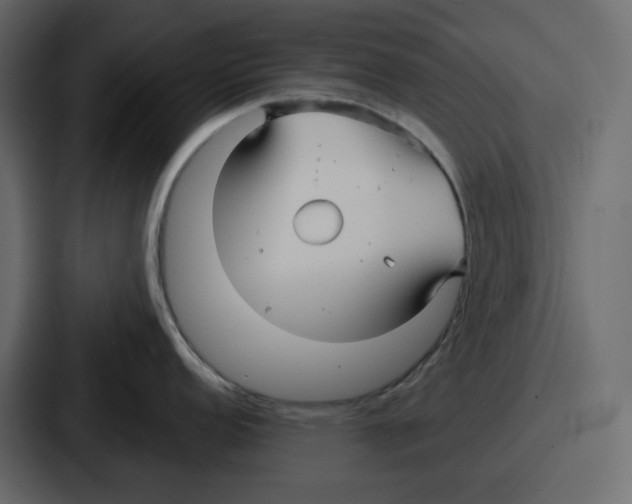 X0000086781152200705111750