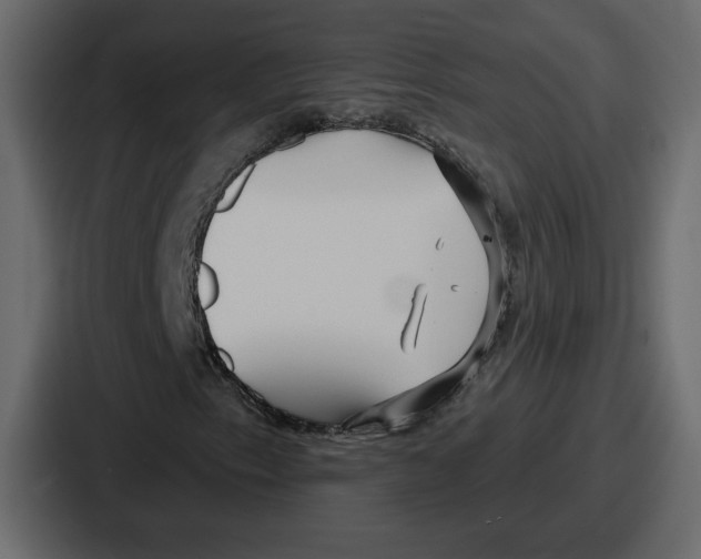 X0000086781153200705111749