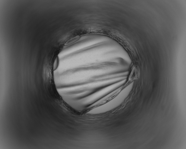 X0000086781155200705111749