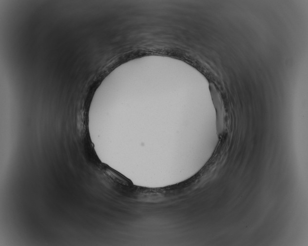 X0000086781156200705111749