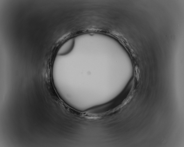 X0000086781158200705111749