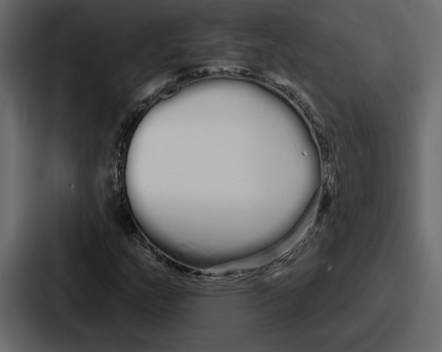 X0000086781159200705111749