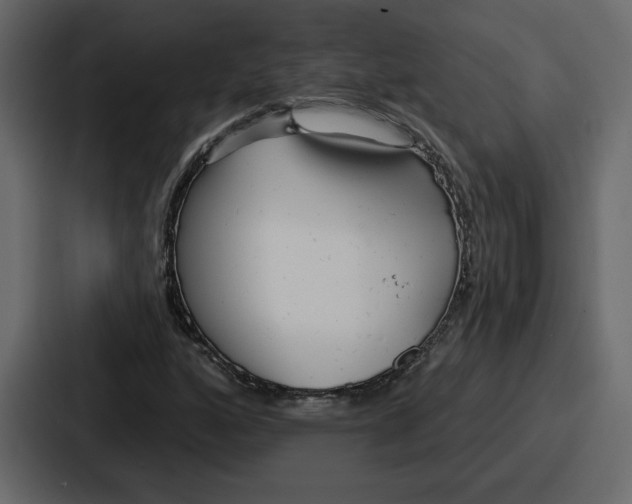 X0000086781160200705111749