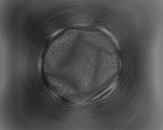 X0000086781161200705111749