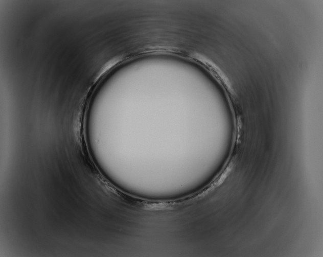 X0000086781162200705111749