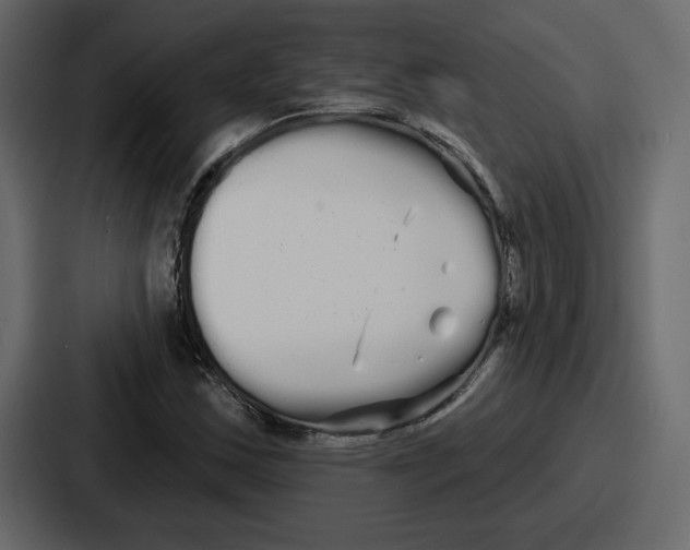 X0000086781163200705111749