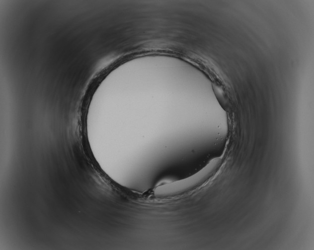 X0000086781164200705111749