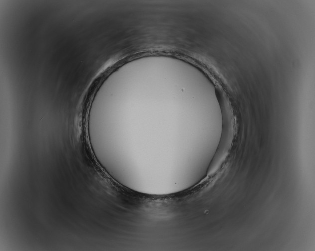 X0000086781165200705111749