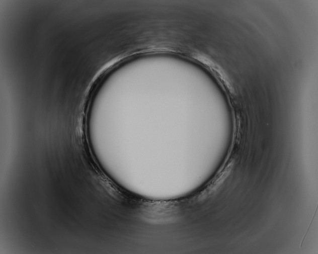 X0000086781166200705111749