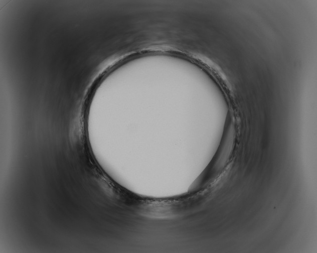 X0000086781167200705111749