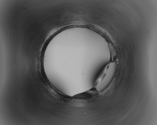 X0000086781168200705111749