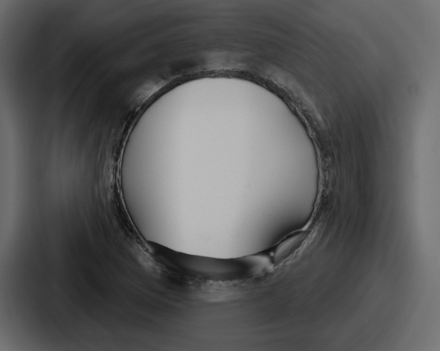 X0000086781169200705111749