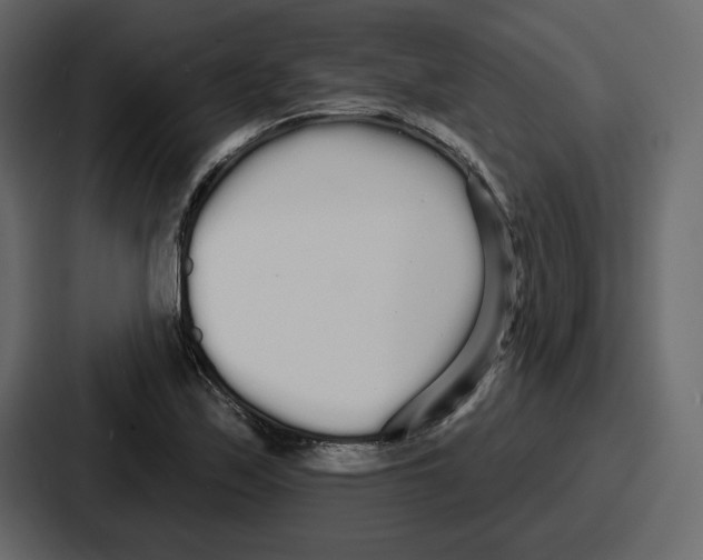 X0000086781171200705111749