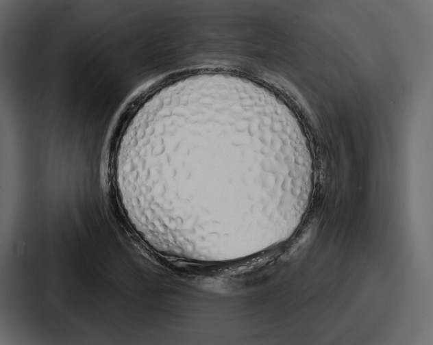 X0000086781172200705111749