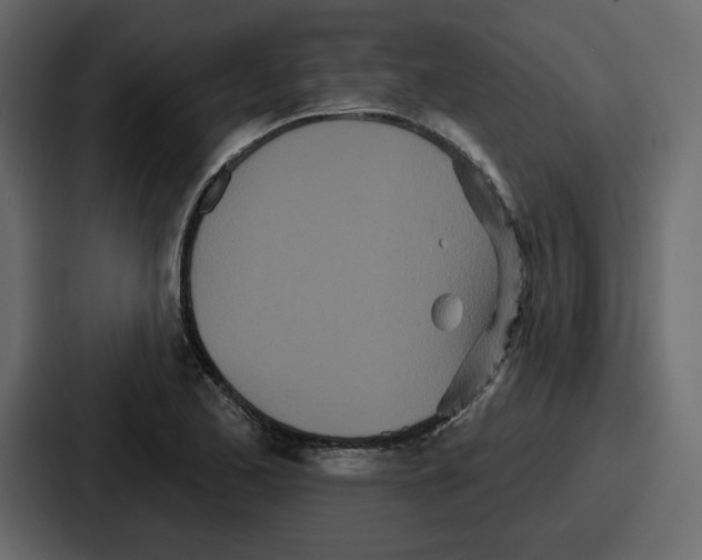 X0000086781173200705111749