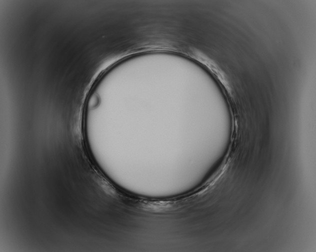 X0000086781174200705111749