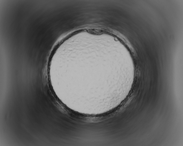 X0000086781176200705111749