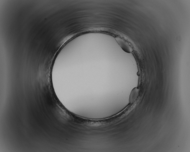 X0000086781177200705111749