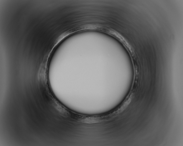 X0000086781178200705111749