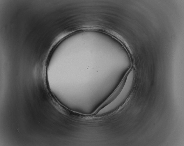 X0000086781179200705111749