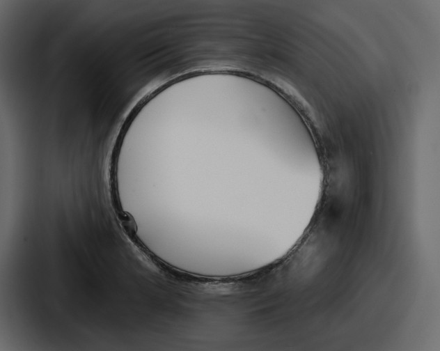 X0000086781181200705111749