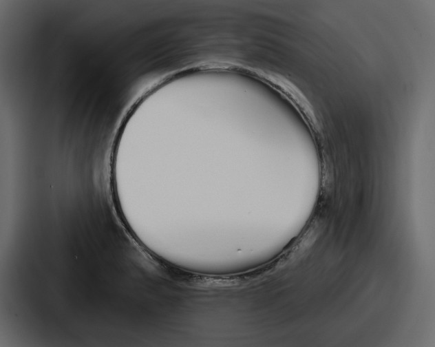 X0000086781183200705111749