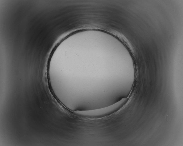 X0000086781184200705111749