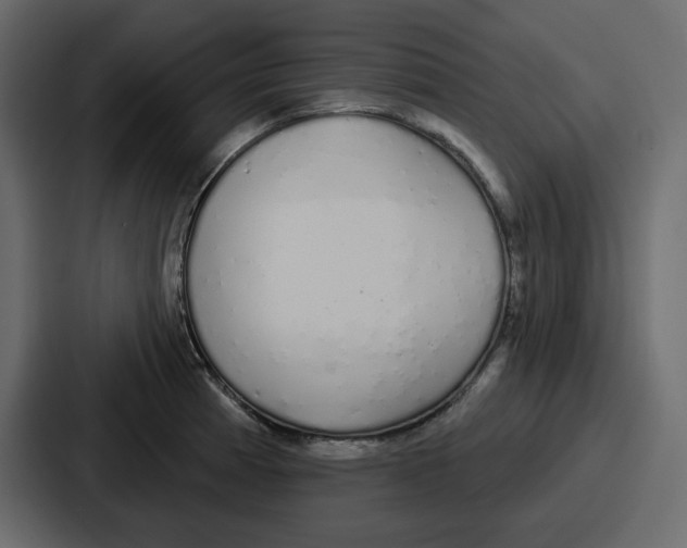 X0000086781185200705111749