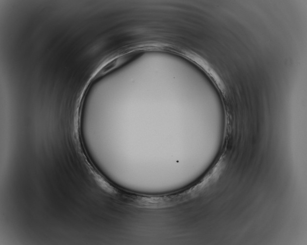 X0000086781186200705111749