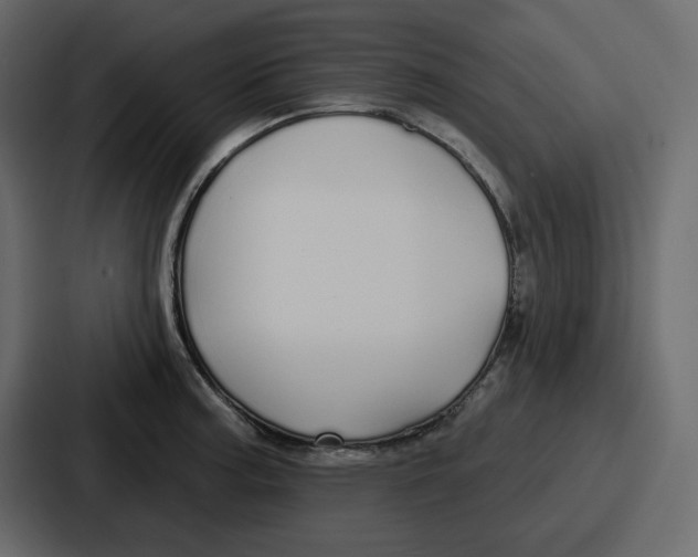 X0000086781187200705111749