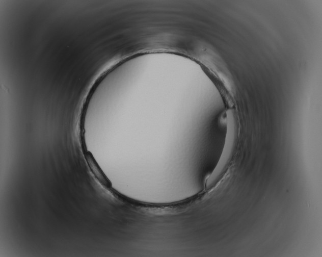 X0000086781189200705111749