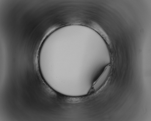 X0000086781190200705111749