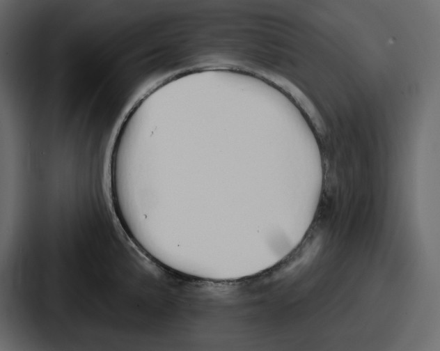 X0000086781191200705111749