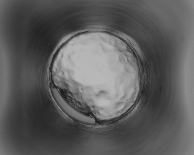 X0000086781192200705111749