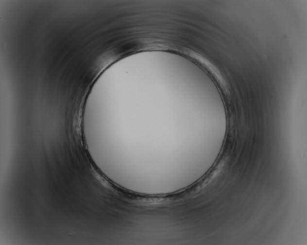 X0000086781193200705111749