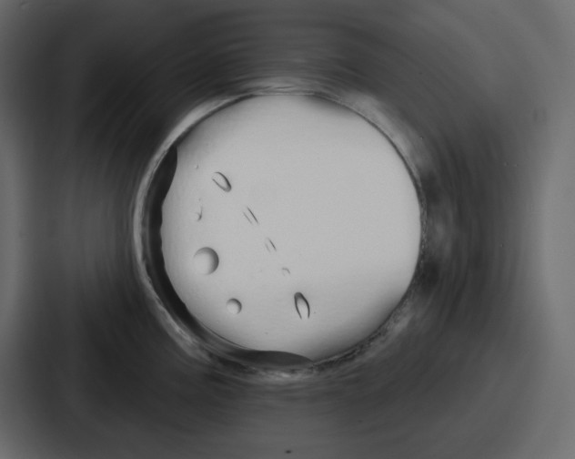 X0000086781195200705111749