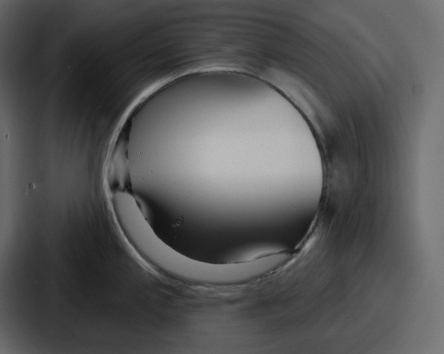 X0000086781197200705111749