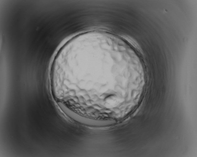 X0000086781200200705111749