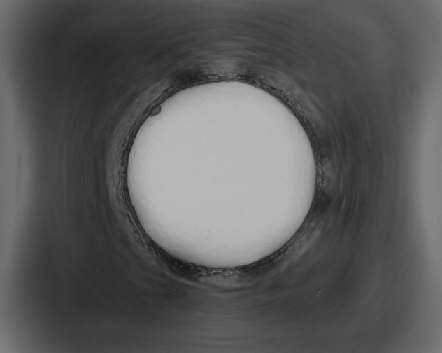 X0000086781201200705111748